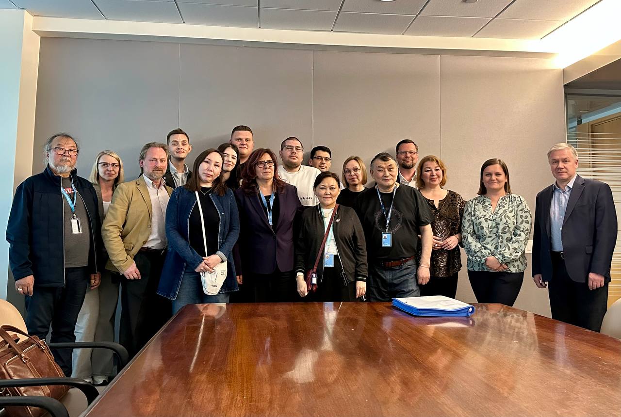 UN round table with Mariana Katzarova